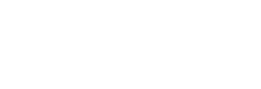 SSL Logo